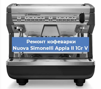 Чистка кофемашины Nuova Simonelli Appia II 1Gr V от накипи в Воронеже